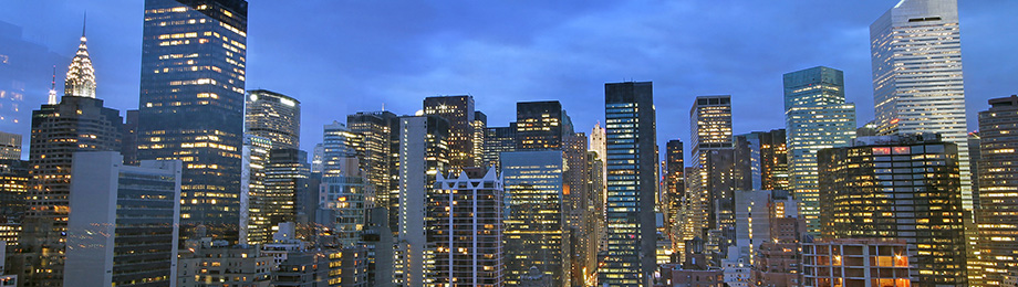See Homes with Skyline Views